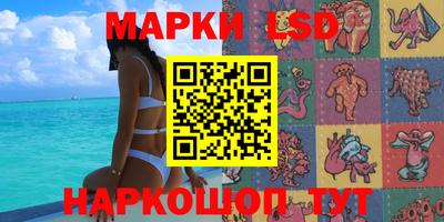 гашик Бийск