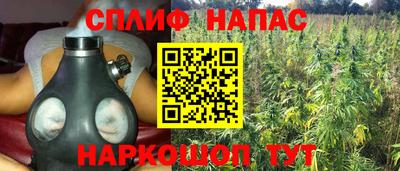 гашик Бийск